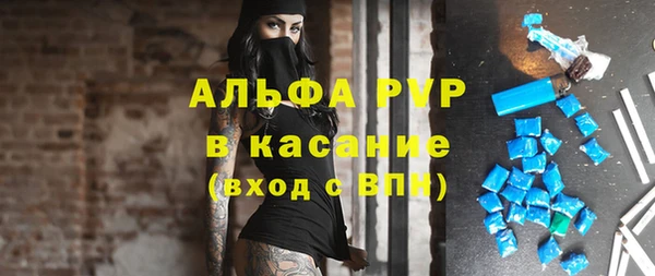 a pvp Аркадак