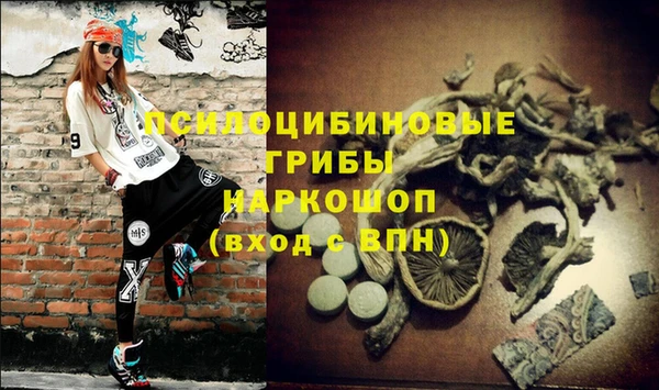 винт Арсеньев