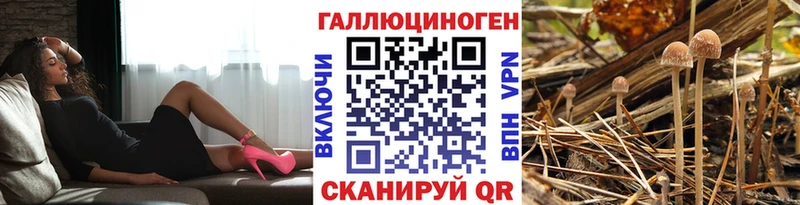 Галлюциногенные грибы мухоморы  Демидов 