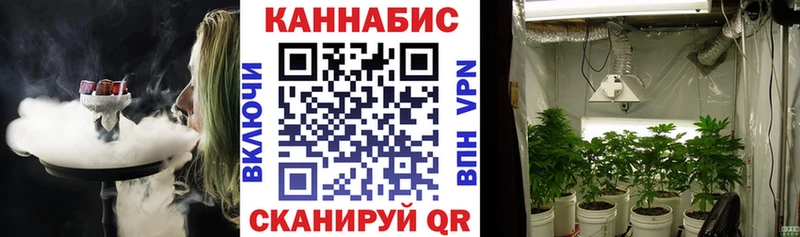 Канабис SATIVA & INDICA  где найти наркотики  Демидов 